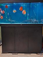 Aquariumjuweel (zie beschrijving), Ophalen, Zo goed als nieuw