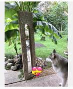 Decoratieve spiegel van Maisons du Monde - Ecocheques, Utilisé, Rectangulaire, Moins de 50 cm, 150 à 200 cm