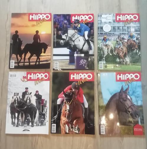Paardentijdschriften Hippo Revue, Boeken, Tijdschriften en Kranten, Zo goed als nieuw, Sport en Vrije tijd, Ophalen of Verzenden