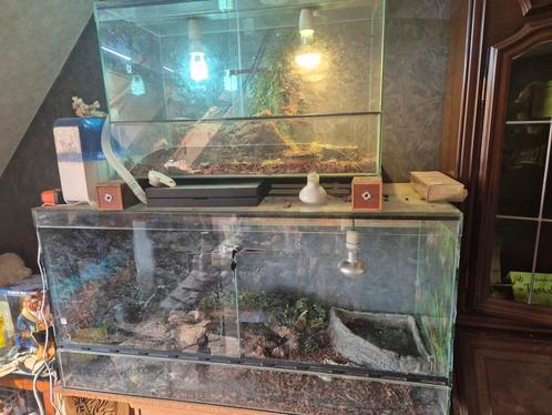 Terraria, Dieren en Toebehoren, Reptielen en Amfibieën | Toebehoren, Verlichting, Ophalen