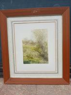 Prachtig schilderij, aquarel, Antiek en Kunst, Kunst | Tekeningen en Fotografie, Ophalen of Verzenden