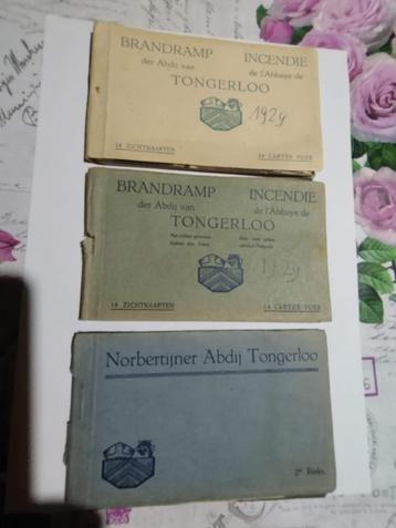 Postkaarten Tongerlo/Tongerloo beschikbaar voor biedingen