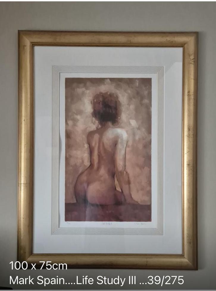 Mark Spain gelimiteerde editie — Levensstudie, Huis en Inrichting, Woonaccessoires | Lijsten, Zo goed als nieuw, Ophalen