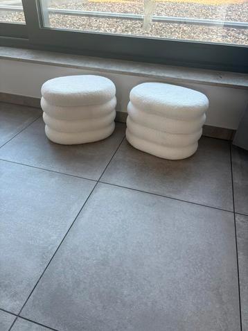Teddy poefjes beschikbaar voor biedingen