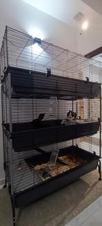 Belle cage triplé étage pour lapin ou autres, Enlèvement, Comme neuf, Cage, Lapin
