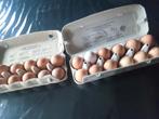 Vrije-uitloopkippen eieren, Livres, Santé, Diététique & Alimentation, Régime et Alimentation, Enlèvement ou Envoi, Neuf