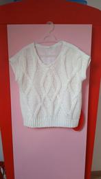 Tshirt, Kleding | Dames, T-shirts, Ophalen of Verzenden, Zo goed als nieuw, Maat 38/40 (M)