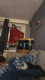 Hoek visbak, Dieren en Toebehoren, Vissen | Aquaria en Toebehoren, Ophalen, Gebruikt