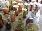 Rommelmarkt (65 poppetjes), Verzamelen, Ophalen