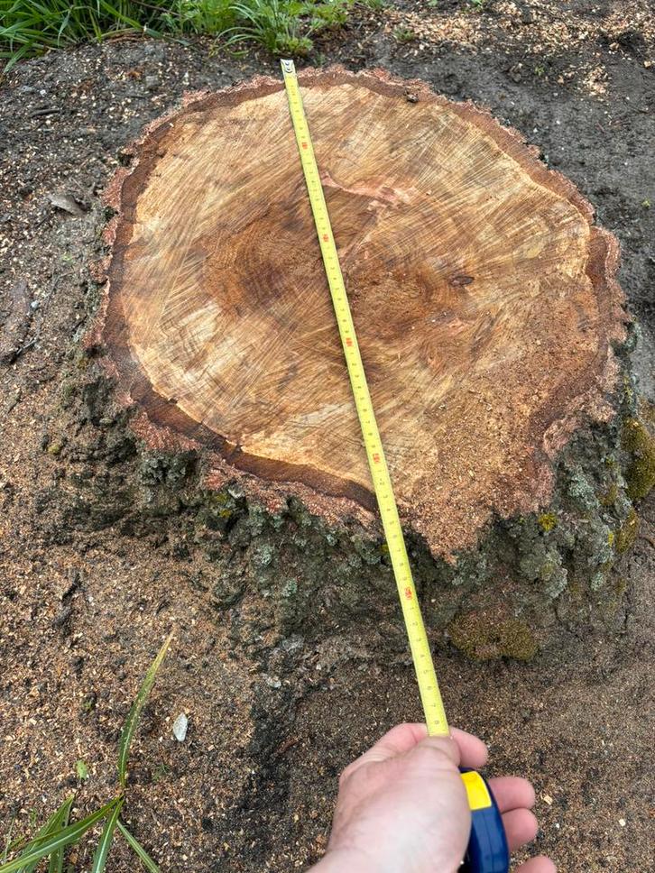Opkuisen van tuinen struiken boomwortels, Tuin en Terras, Hakselaars, Zo goed als nieuw, Ophalen of Verzenden