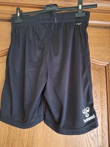 Short hummel beschikbaar voor biedingen