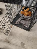 Cage pour chien moyen a grand, Enlèvement, Comme neuf