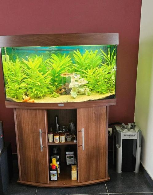 Aquarium juwel vision 180l met filter, Dieren en Toebehoren, Vissen | Aquaria en Toebehoren, Zo goed als nieuw, Ophalen