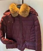 Donsjas dames Caroll, Maat 38/40 (M), Overige kleuren, Caroll, Nieuw