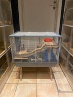 Leuke hamsterkooi met toebehoren, Animaux & Accessoires, Enlèvement