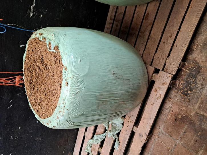 Maisbalen mini baaltjes 100kg mengmaisbalen, Dieren en Toebehoren, Dierenvoeding, Ophalen