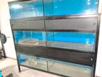 aquarium stelling 6 aquaria incl pomp voor 6 aquaria, Enlèvement ou Envoi, Utilisé, Aquarium vide