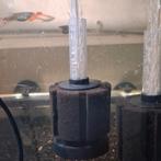 Filtre éponge pré-cyclé | modèle xy-2835, Enlèvement, Utilisé, Filtre ou CO2