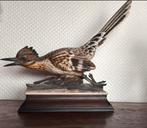 Prachtig, Porseleine renkoekkoek roadrunner, Ophalen, Zo goed als nieuw, Vogel
