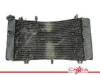 RADIATEUR GSX R 600 1997-2000 SRAD (GSXR 600) (422171-2050), Motoren, Onderdelen | Suzuki, Gebruikt