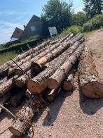 Dennenhout op stam, Tuin en Terras, Brandhout, 6 m³ of meer, Ophalen, Overige houtsoorten, Stammen