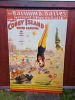 Grote vintage poster Coney Island, Met lijst, Gebruikt, Rechthoekig Staand, Ophalen