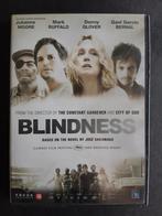 Blindness (2008) Julianne Moore, Danny Glover, Cd's en Dvd's, Dvd's | Thrillers en Misdaad, Vanaf 16 jaar, Ophalen of Verzenden
