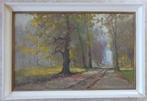 HENRI-JOSEPH PAUWELS / BOSDREEF / OLIEVERF DOEK / 71x106cm, Antiek en Kunst, Kunst | Schilderijen | Klassiek, Ophalen