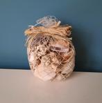 NIEUW setje zeeschelpen, Verzamelen, Ophalen of Verzenden, Nieuw