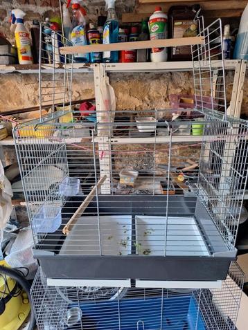 vend cage pour petits perroquet ou bec crochu beschikbaar voor biedingen