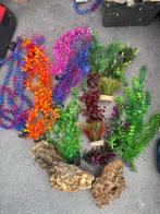 Nep planten en 3 kleine rotsen, Dieren en Toebehoren, Ophalen