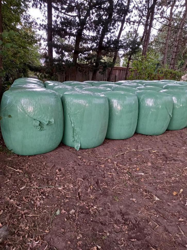 Grote en kleine maisbalen, Zakelijke goederen, Landbouw | Veevoer, Ophalen of Verzenden