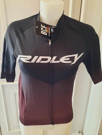 Maillot cycliste / vélo Ridley BCF Performance Jersey (S) beschikbaar voor biedingen