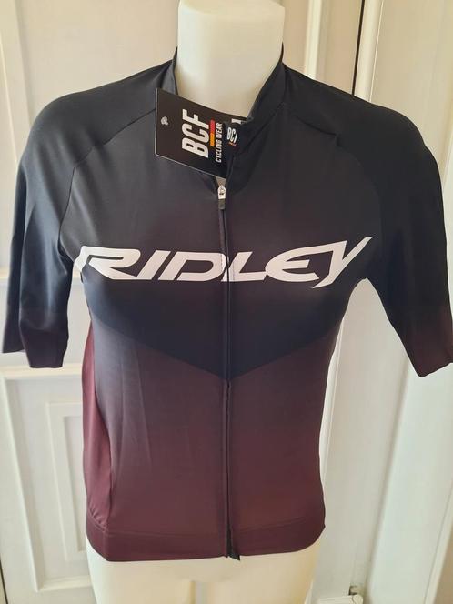 Maillot cycliste / vélo Ridley BCF Performance Jersey (S), Fietsen en Brommers, Fietsaccessoires | Fietskleding, Nieuw, Bovenkleding