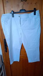witte broek canda maat 52, Kleding | Dames, Wit, Ophalen of Verzenden, Zo goed als nieuw, Canda