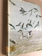 Natuur- en vogelreservaten 1 Zwin, Boeken, Ophalen of Verzenden, Gelezen, Vogels