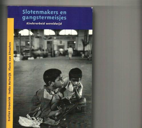 Slotemakers en gangstermeisjes evelien groenink ineke holtwi, Boeken, Romans, Zo goed als nieuw, Ophalen of Verzenden