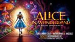 2 tickets "alice in wonderland " hasselt, Tickets en Kaartjes, Twee personen