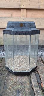 Terrarium, Animaux & Accessoires, Reptiles & Amphibiens | Accessoires, Enlèvement, Utilisé, Autres types