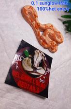Boa nk 25, Dieren en Toebehoren, Reptielen en Amfibieën, Slang, Tam, 0 tot 2 jaar