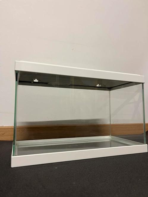 Aquarium beginner set, Dieren en Toebehoren, Reptielen en Amfibieën | Toebehoren, Zo goed als nieuw, Ophalen