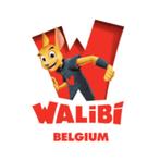 2 Walibi Jaar Abonnement orginele prijs € 260, Twee personen, Overige typen