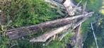 Hout, Ophalen, Stammen