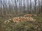 Recherche bois sur pied, 6 m³ ou plus, Troncs d'arbres, Autres essences de bois, Enlèvement ou Envoi
