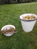 Email, zink, Ophalen