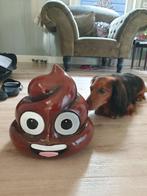 drol , kado, Enlèvement ou Envoi