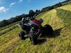 Yamaha Raptor 350R, Motoren