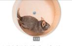 Nieuwe wiel  voor rennen(chinchilla), Animaux & Accessoires, Rongeurs, Chinchilla
