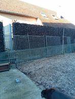 Hondenren, Tuin en Terras, Ophalen