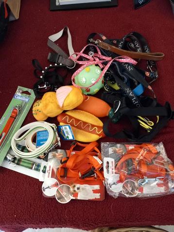 Accessoires voor honden  beschikbaar voor biedingen
